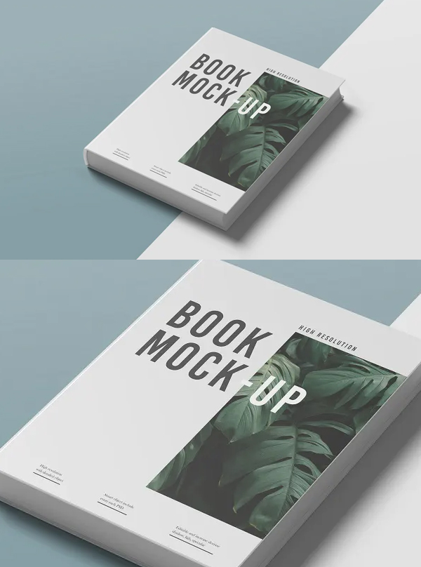Editable book mockup