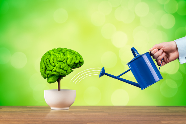 The real difference between creativity and innovation - Watering a plant shaped like a human brain.